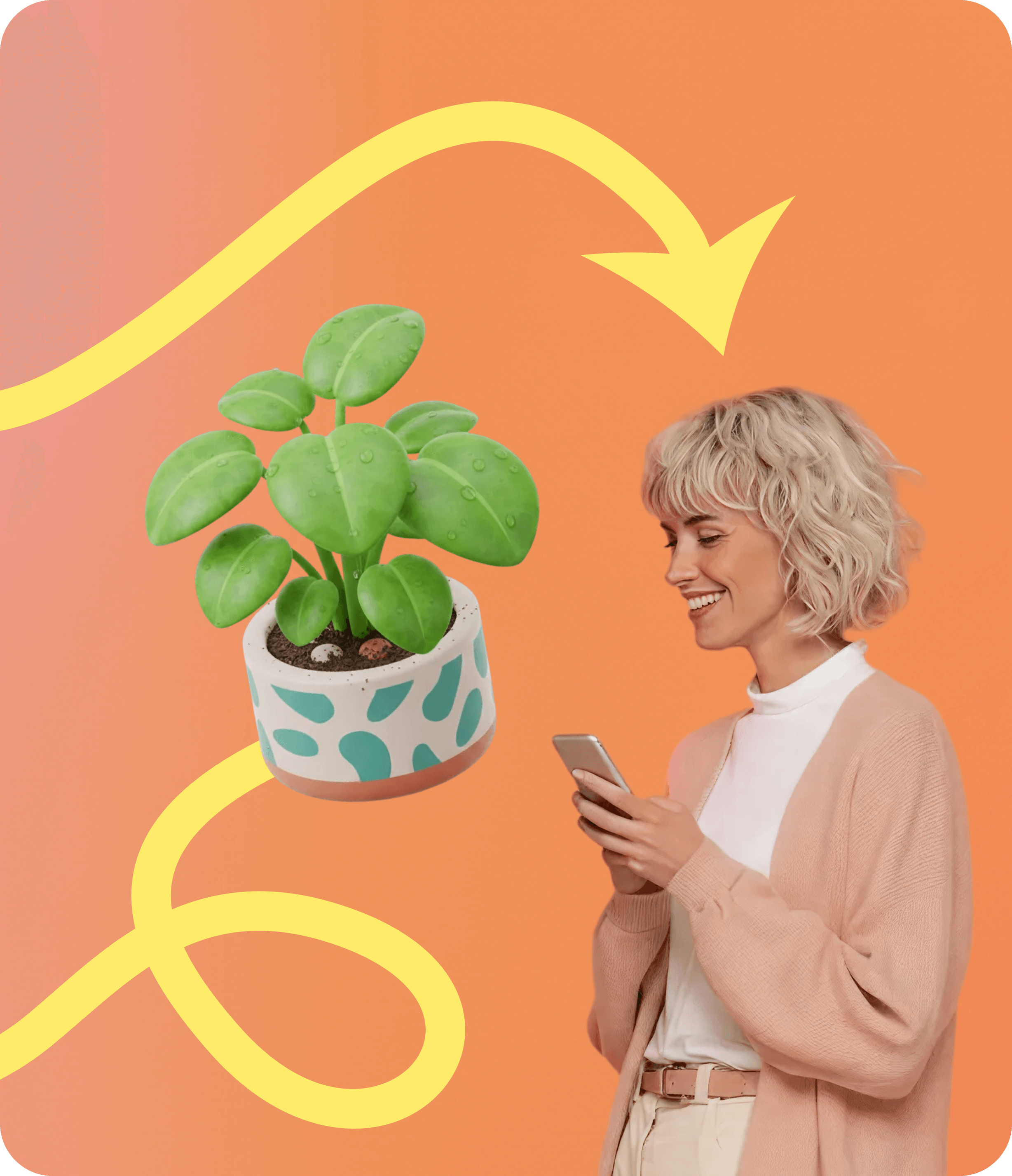 right images about us